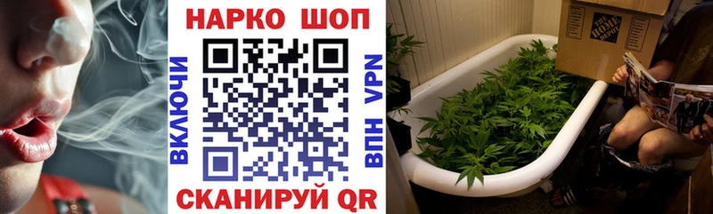 Виды наркотиков купить Севастополь КОКАИН  АМФ  Бошки Шишки  Псилоцибиновые грибы  Меф 