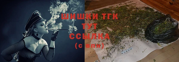 СК Бородино