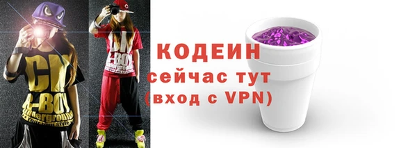 СК Бородино