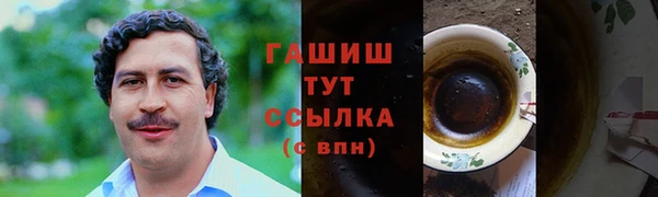 СК Бородино