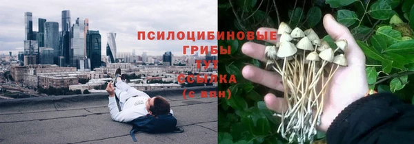 СК Бородино